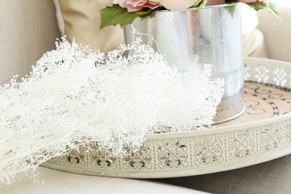 Baby's Breath - White