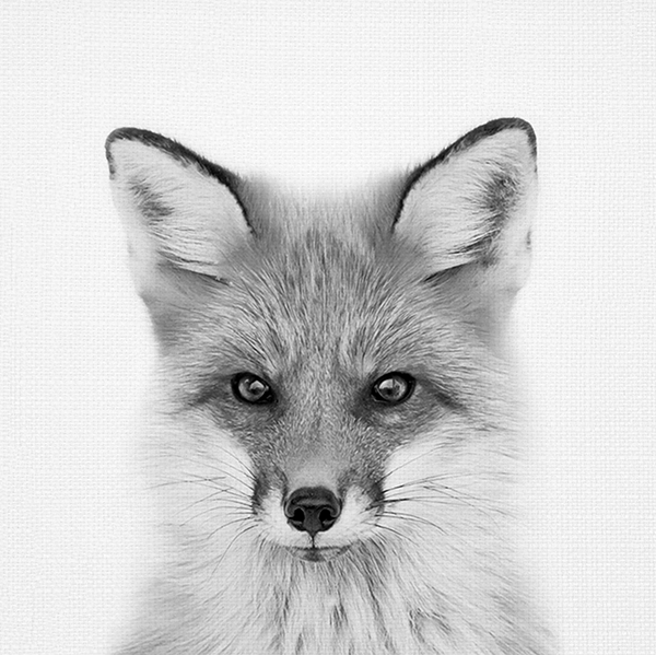 Animal Prints (Choose Your Animal) - Fox