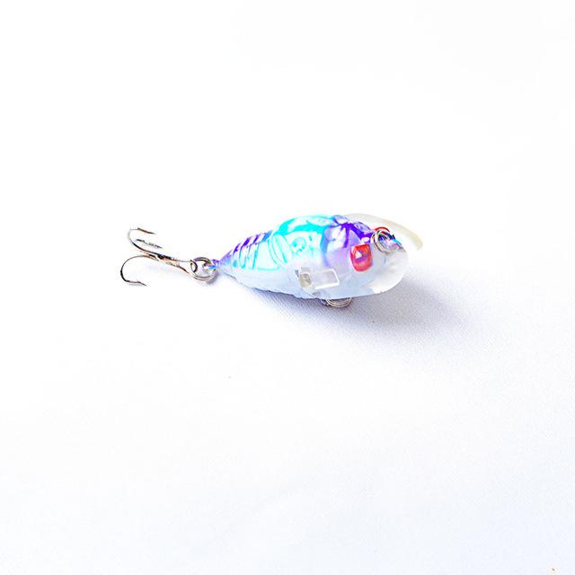 1.6" Cicada Popper