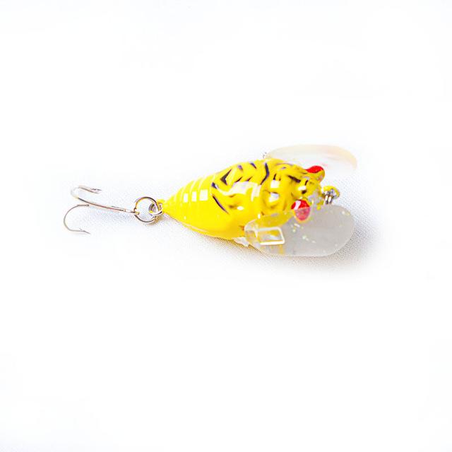 1.6" Cicada Popper