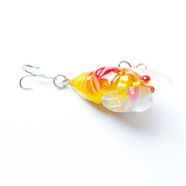 1.6" Cicada Popper